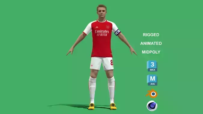 3D Rigged Martin Odegaard EPL 2024 3D model