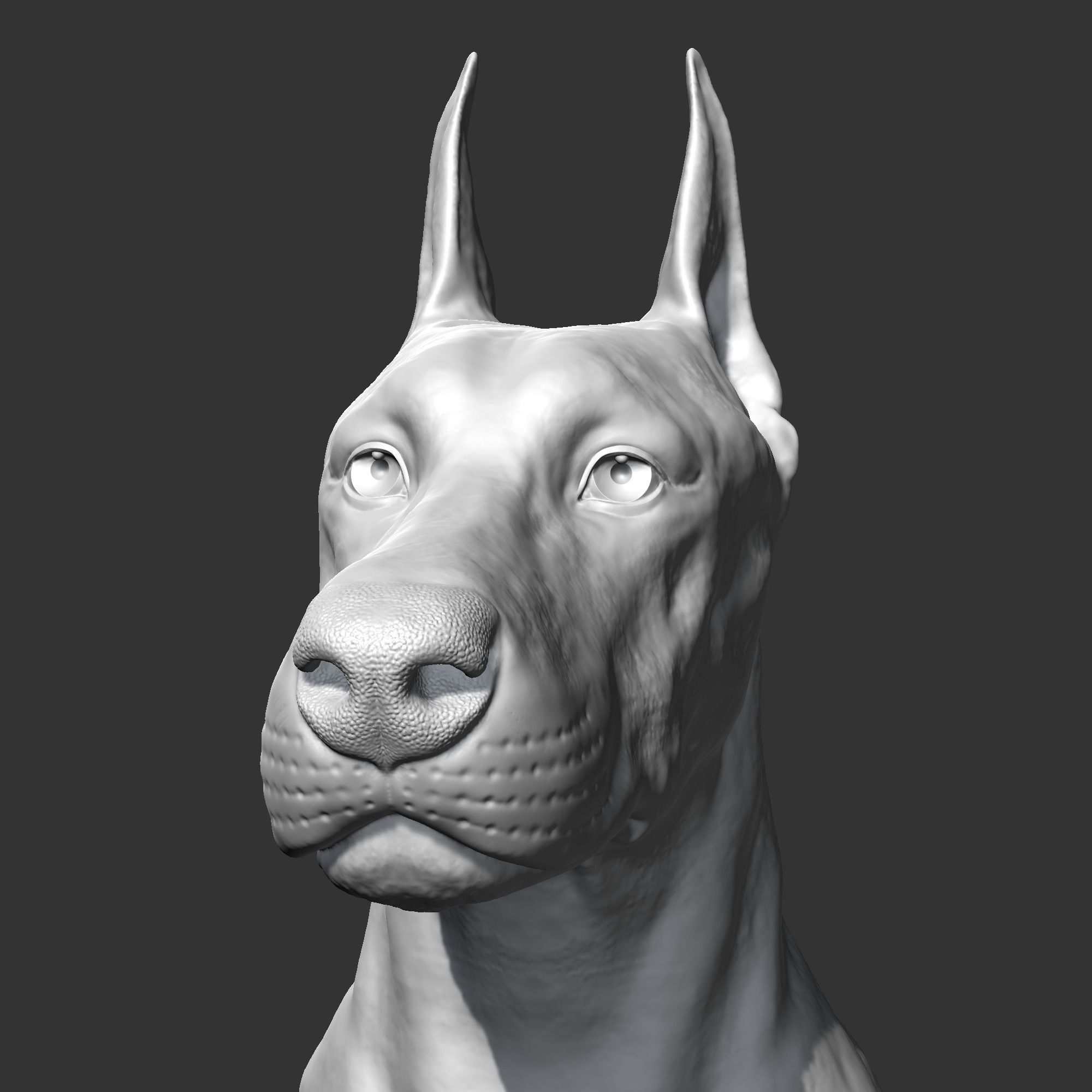 Doberman sitting AM21 3D print model 3D print model_9