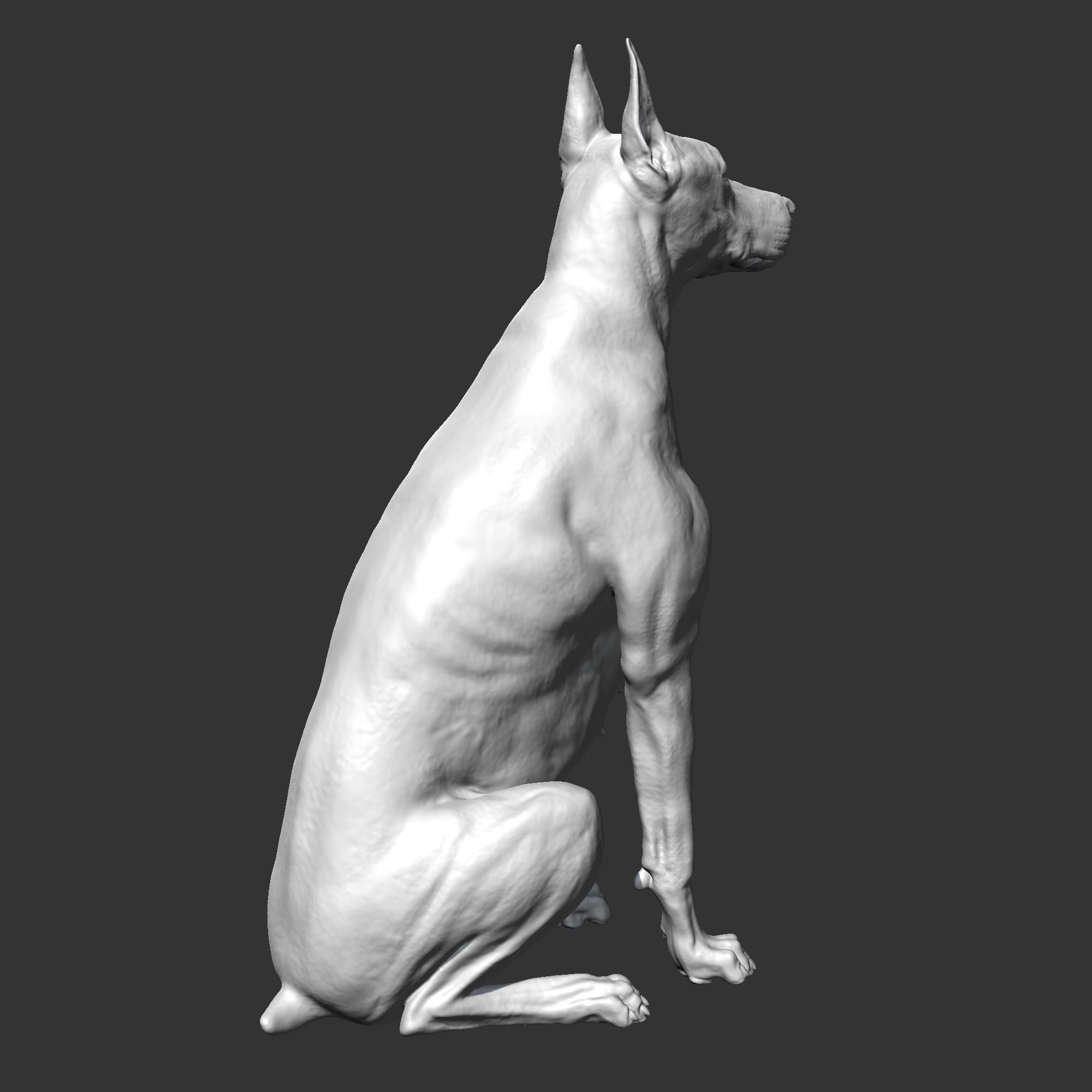 Doberman sitting AM21 3D print model 3D print model_7