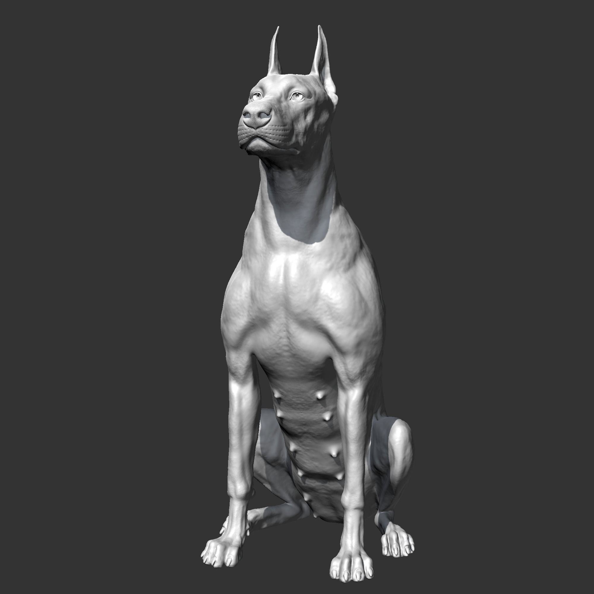 Doberman sitting AM21 3D print model 3D print model_1