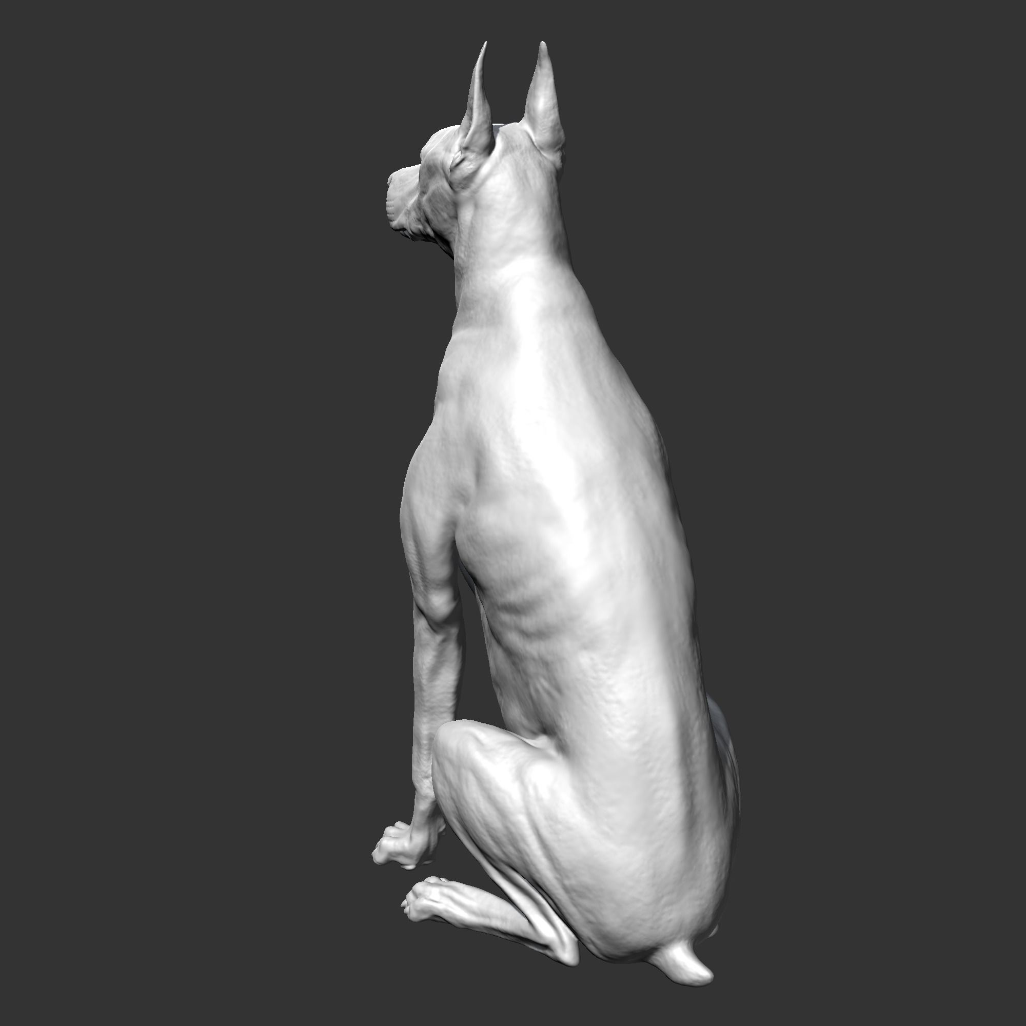 Doberman sitting AM21 3D print model 3D print model_6