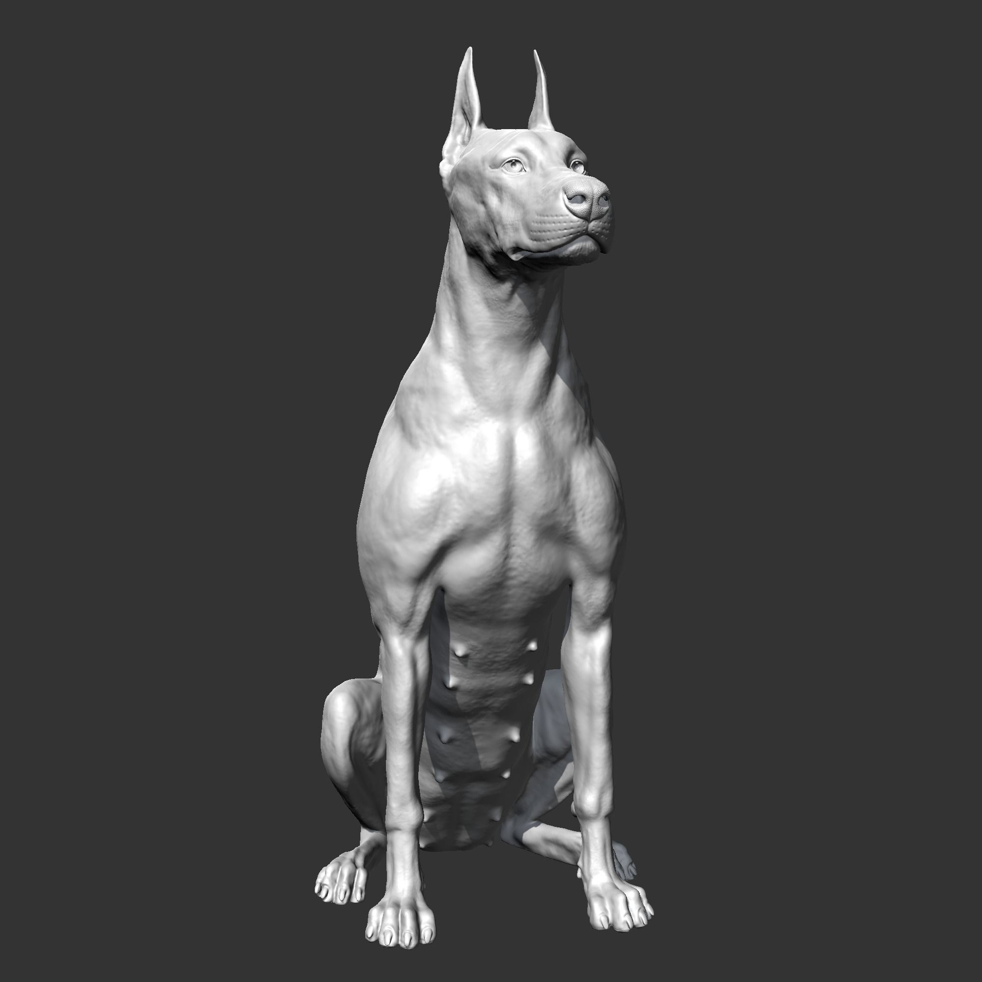 Doberman sitting AM21 3D print model 3D print model_2