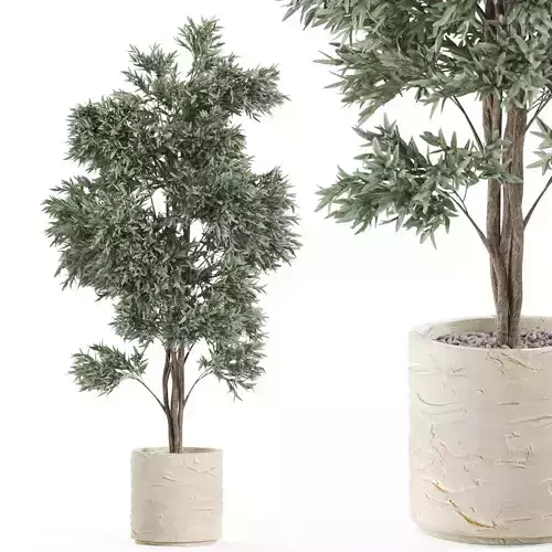 Plants collection 980 3D model