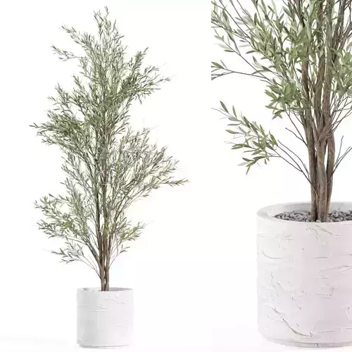 Plants collection 981 3D model