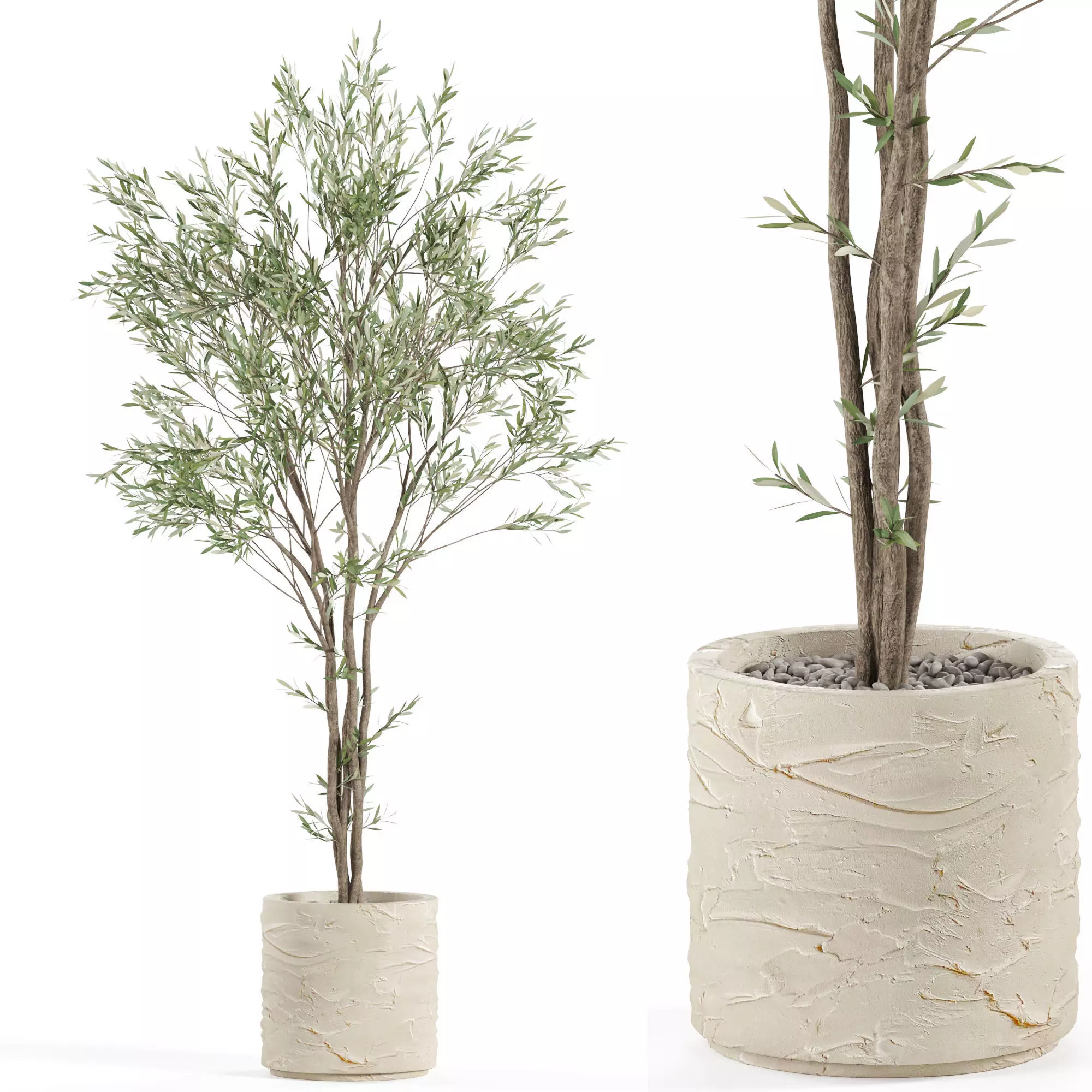 Plants collection 982 3D model