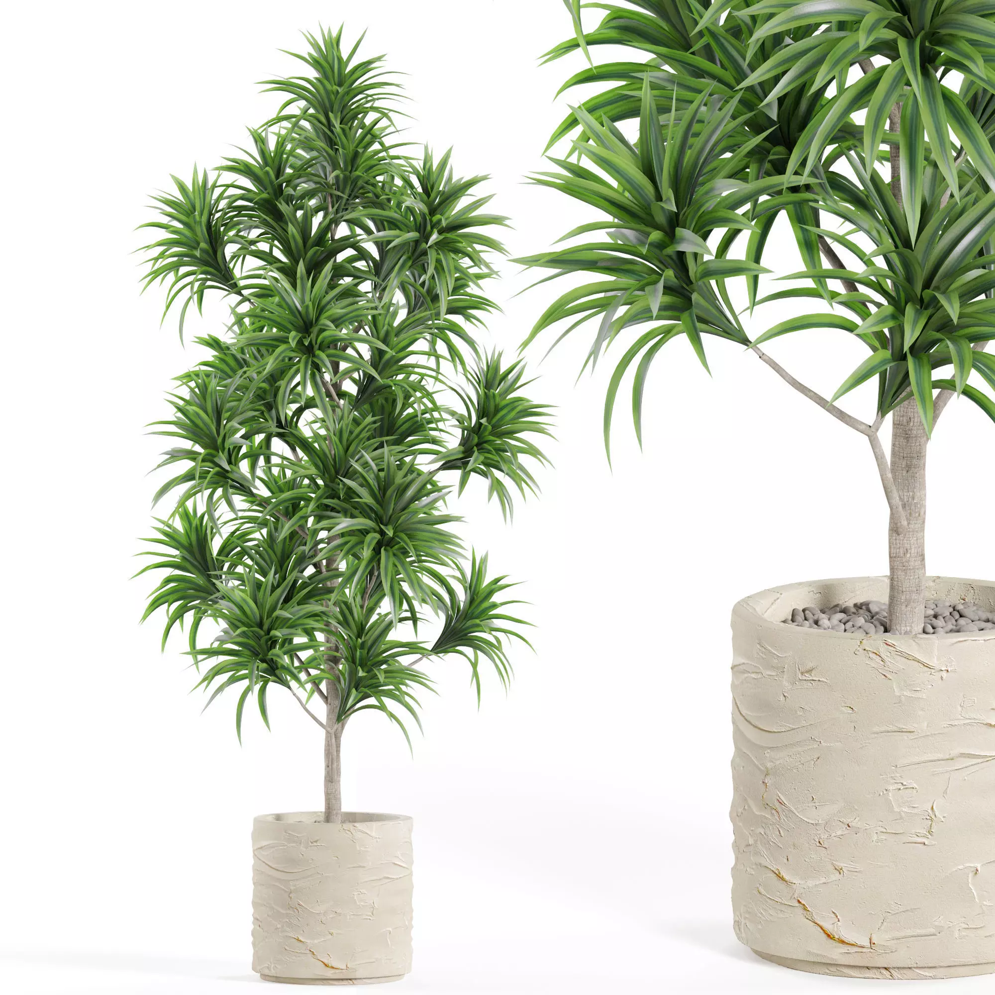 Plants collection 983 3D model