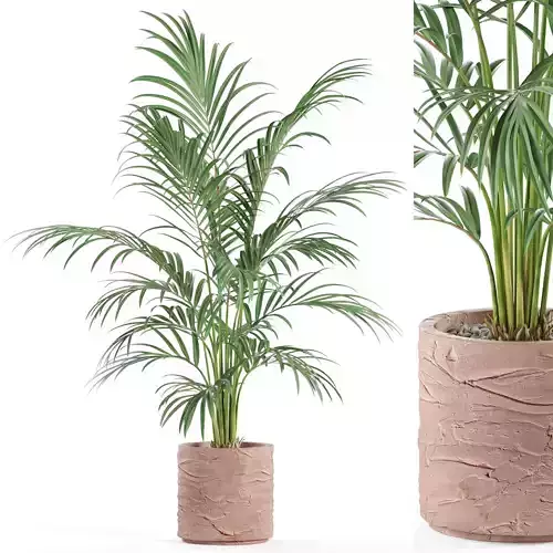 Plants collection 986 3D model