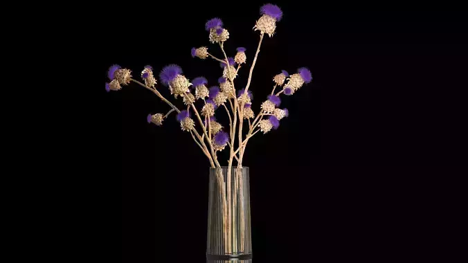 Beautiful bouquet of thistle dried flowers in a glass vase 291 3D model