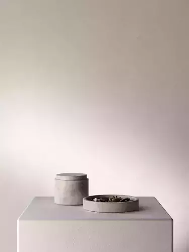 Containers with Plants