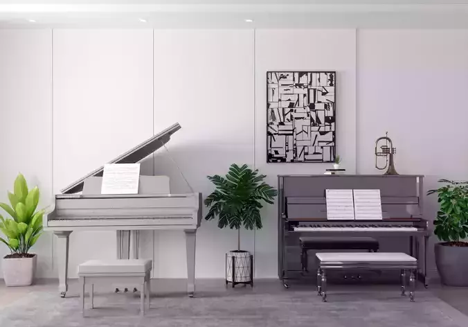 monomer equipment piano decoration Equipment