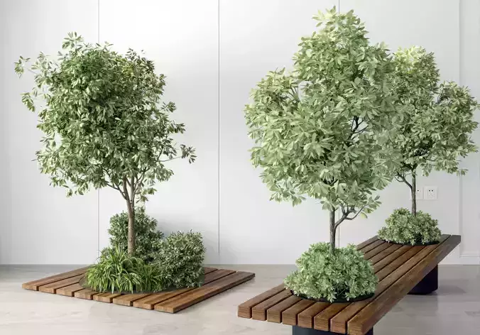 combination potted green Modern plant