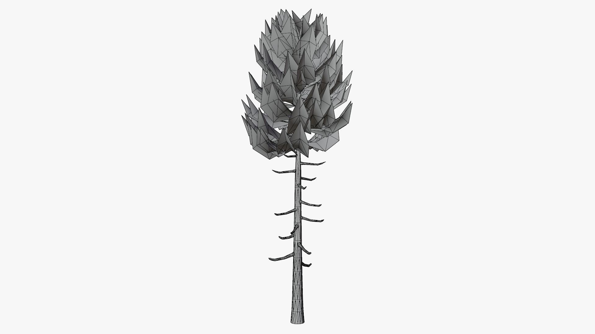 Lowpoly Pine v6 Low-poly 3D model_9