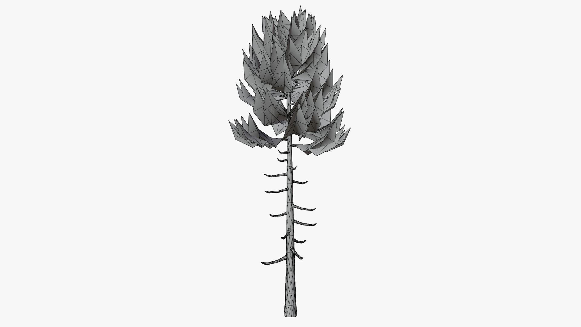 Lowpoly Pine v6 Low-poly 3D model_11