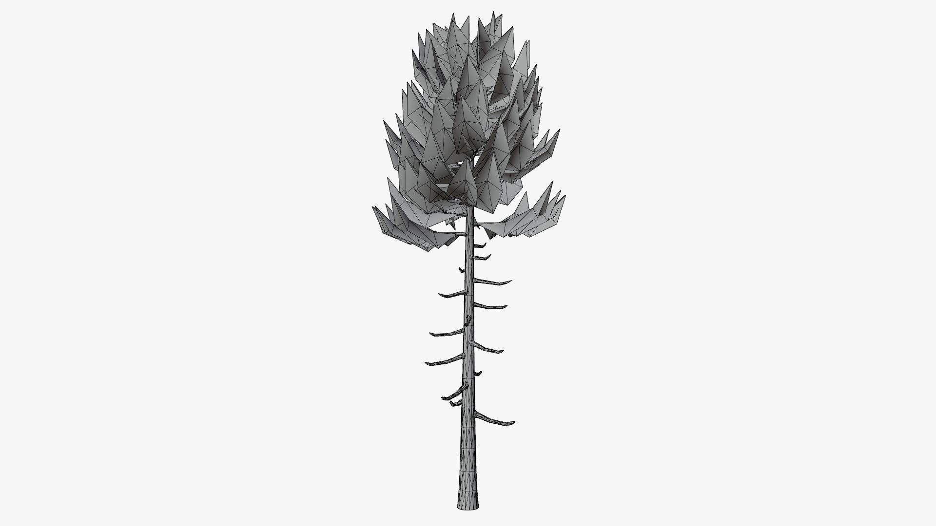 Lowpoly Pine v6 Low-poly 3D model_8