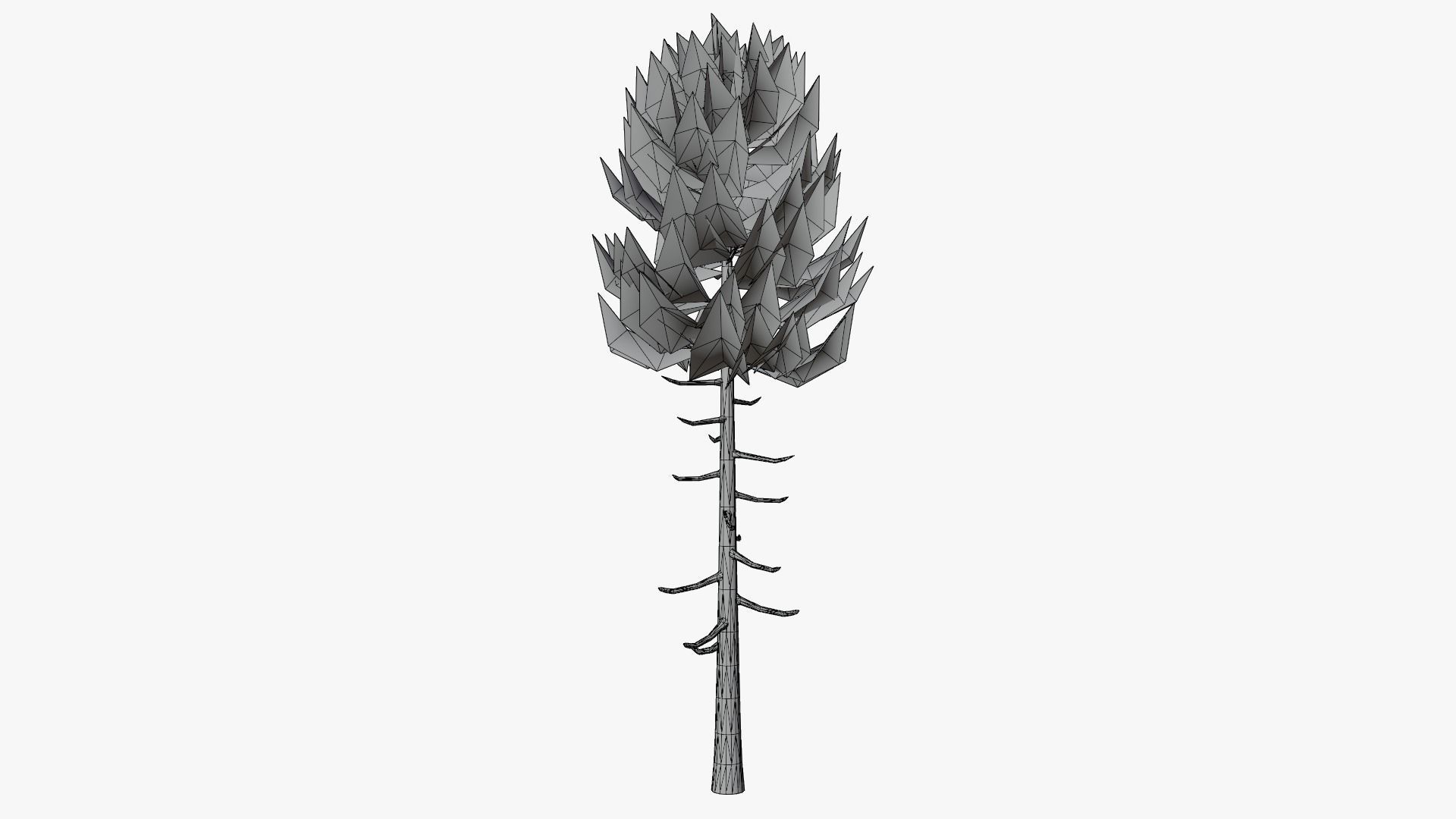 Lowpoly Pine v6 Low-poly 3D model_10