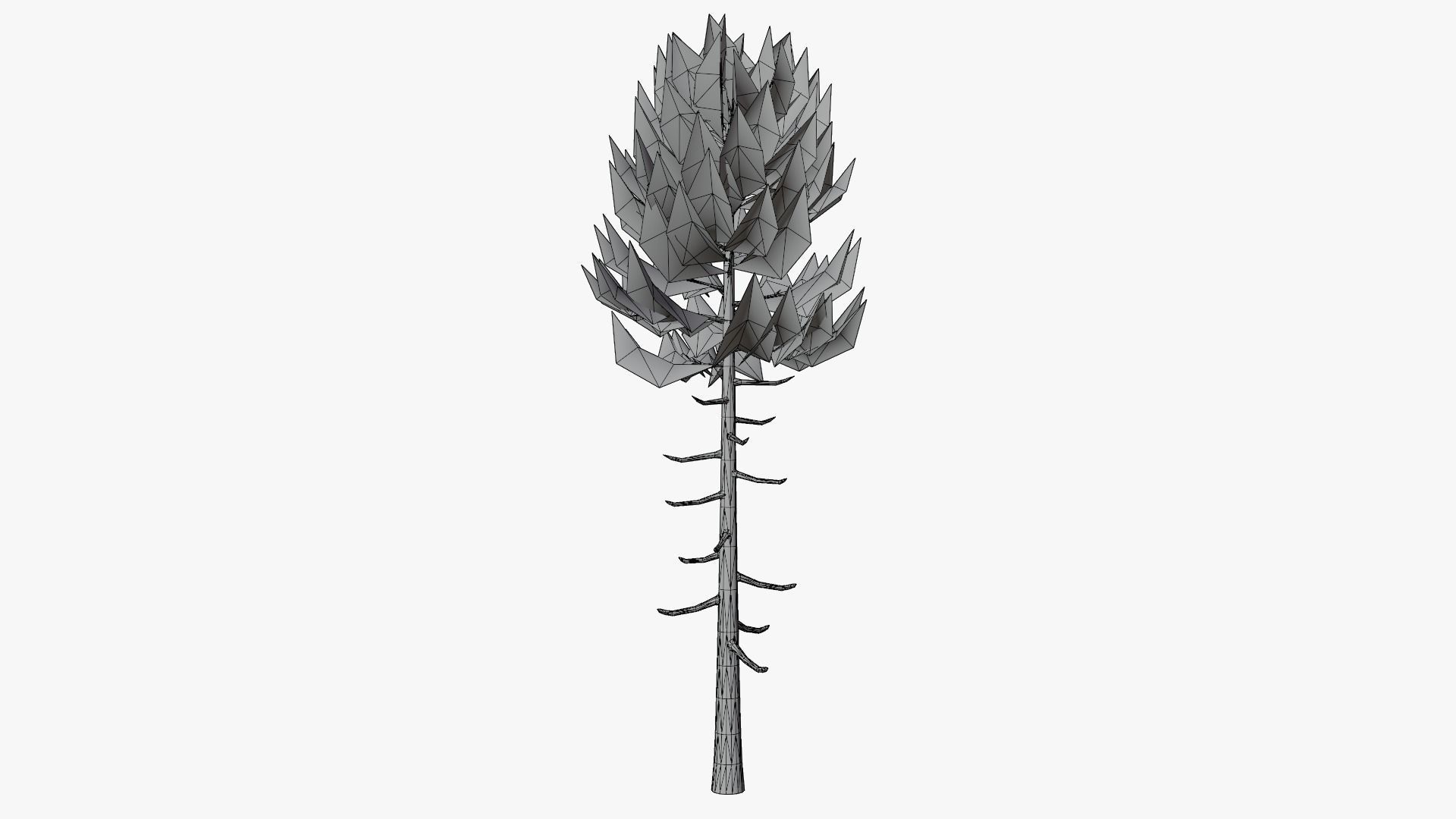 Lowpoly Pine v6 Low-poly 3D model_7