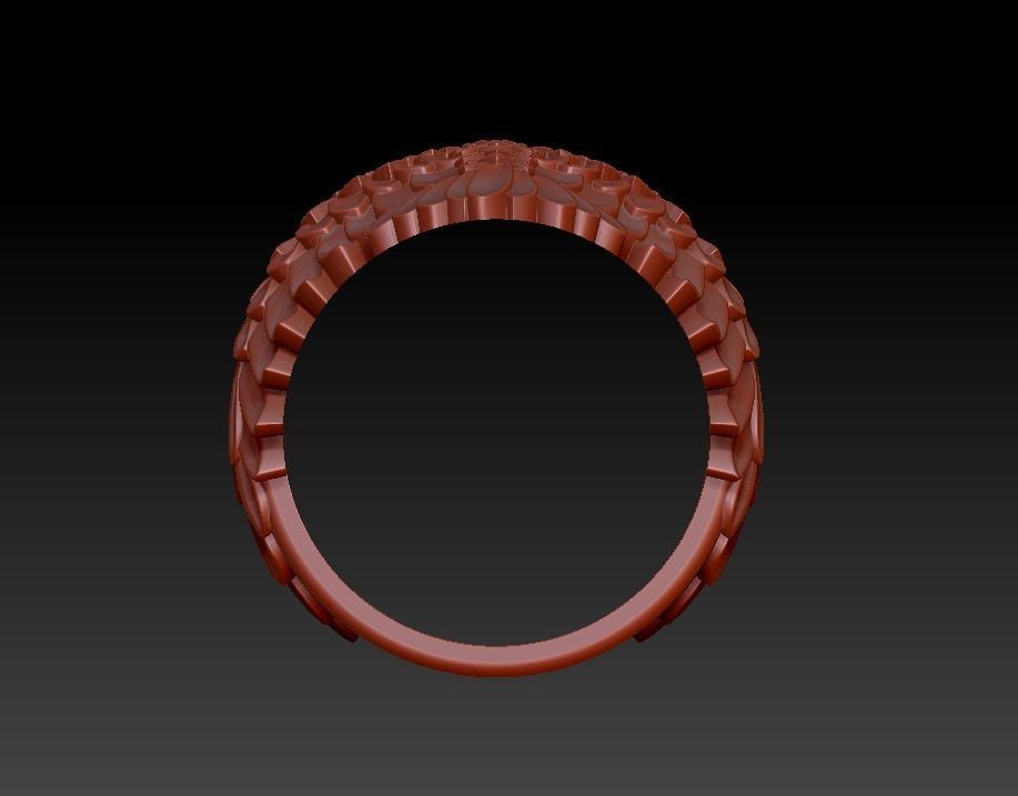 Raven ring wings feathers 3D print model_9