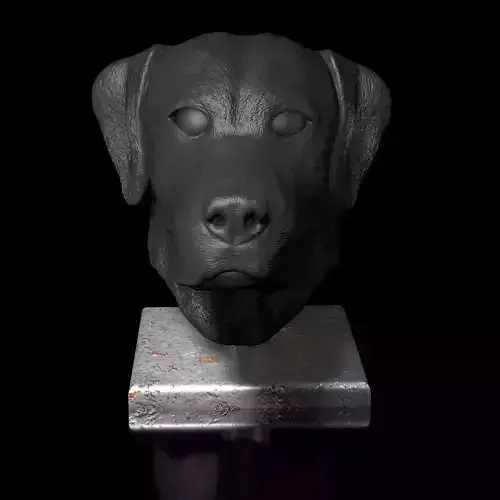 Labrador Male Head Portrait  STL-3D Printing Model High Polygon