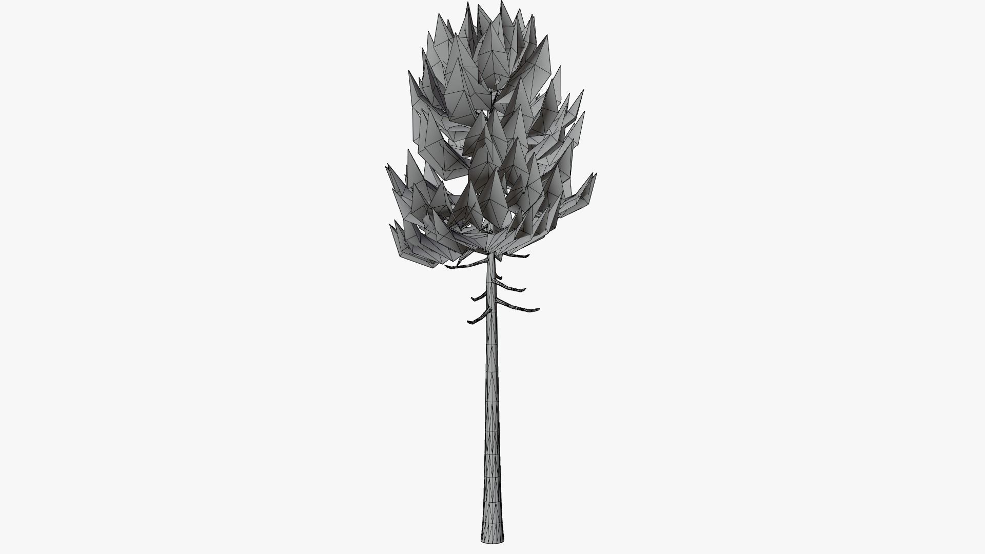 Lowpoly Pine v7 Low-poly 3D model_6