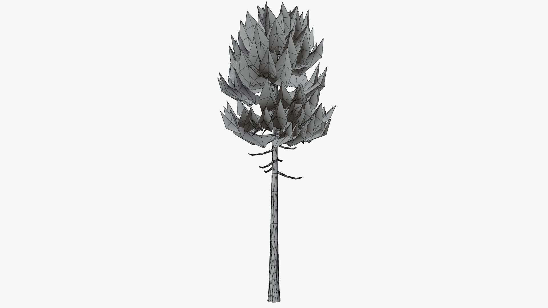 Lowpoly Pine v7 Low-poly 3D model_8