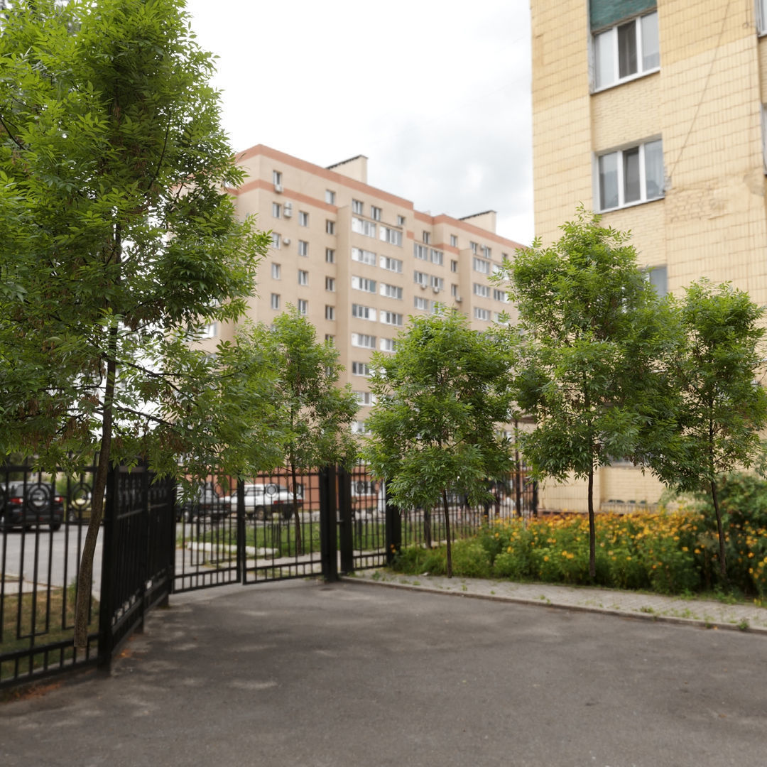 Ash Fraxinus 3 3D model_3