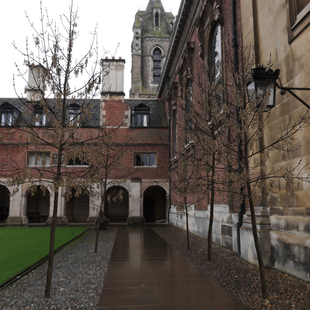 Ash Fraxinus 3 3D model_6