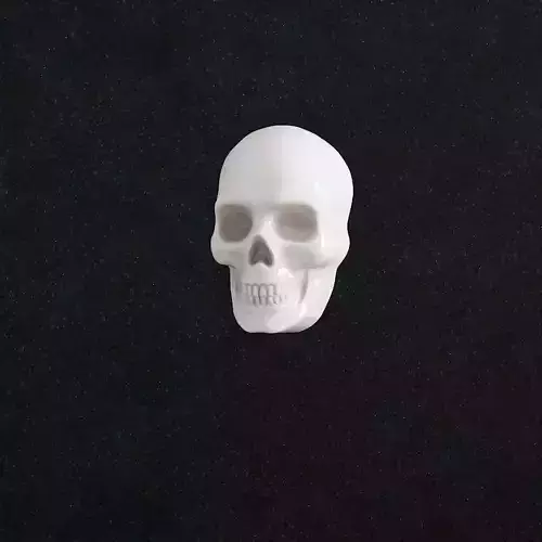 Skull Head