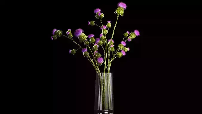 Beautiful bouquet of dried Thistle thorn flowers in a glass vase