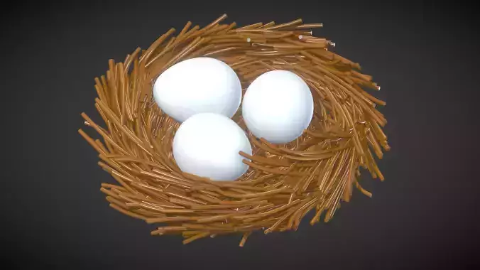 Nest With Eggs