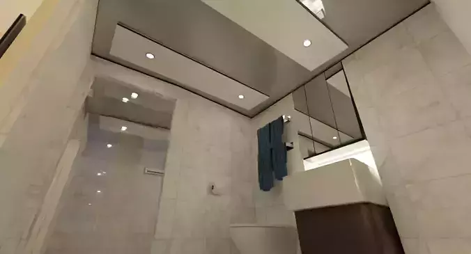 Bath Room with Toilet and Shower