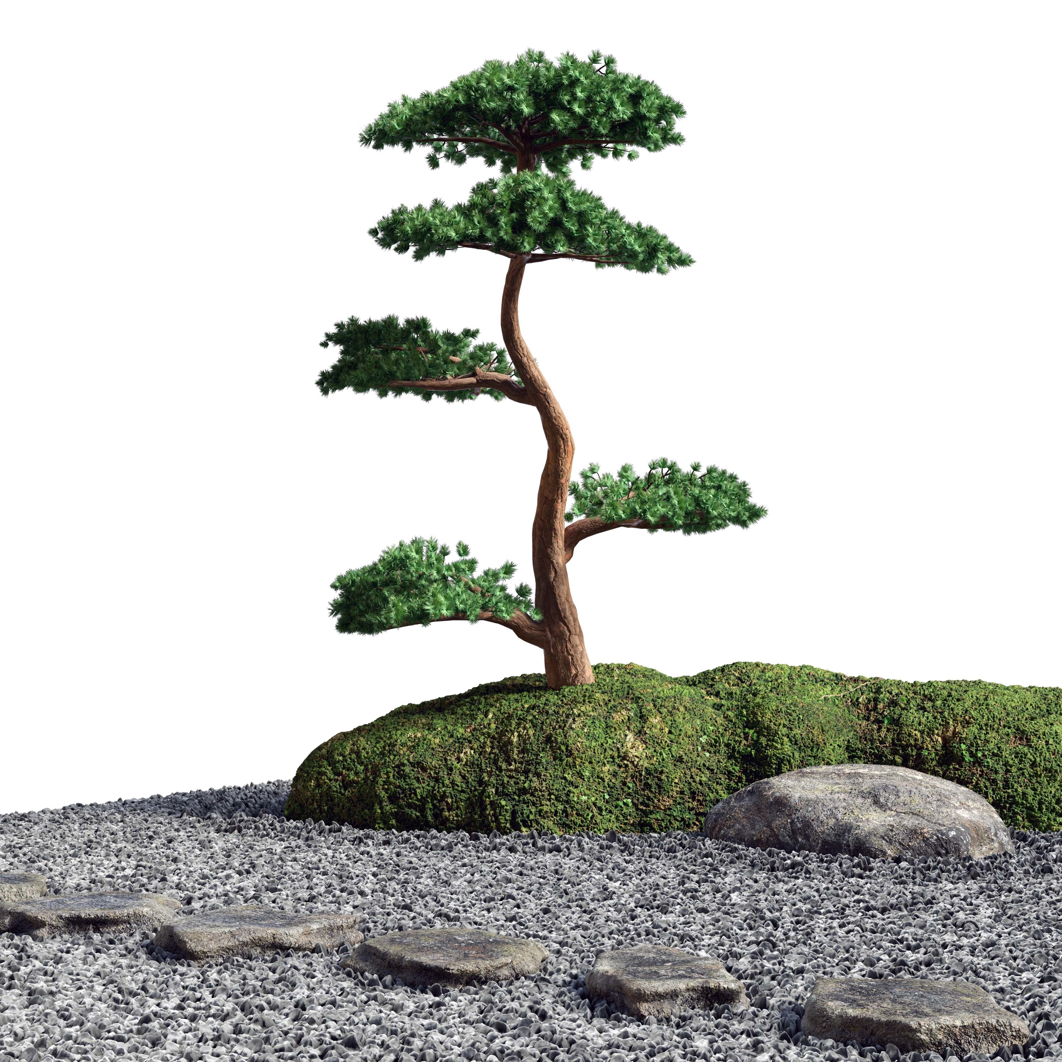 Japanese Rock -Zen- Garden 04 Low-poly 3D model_8