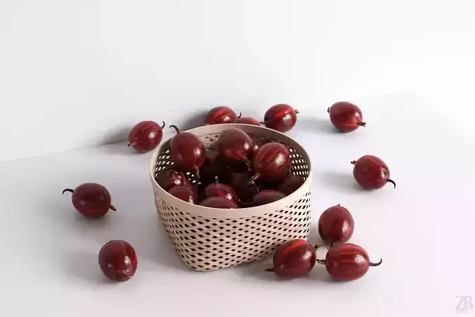 Gooseberry 3D model