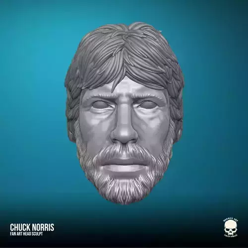 Chuck Norris Fan Art 3D printable File For Action Figures