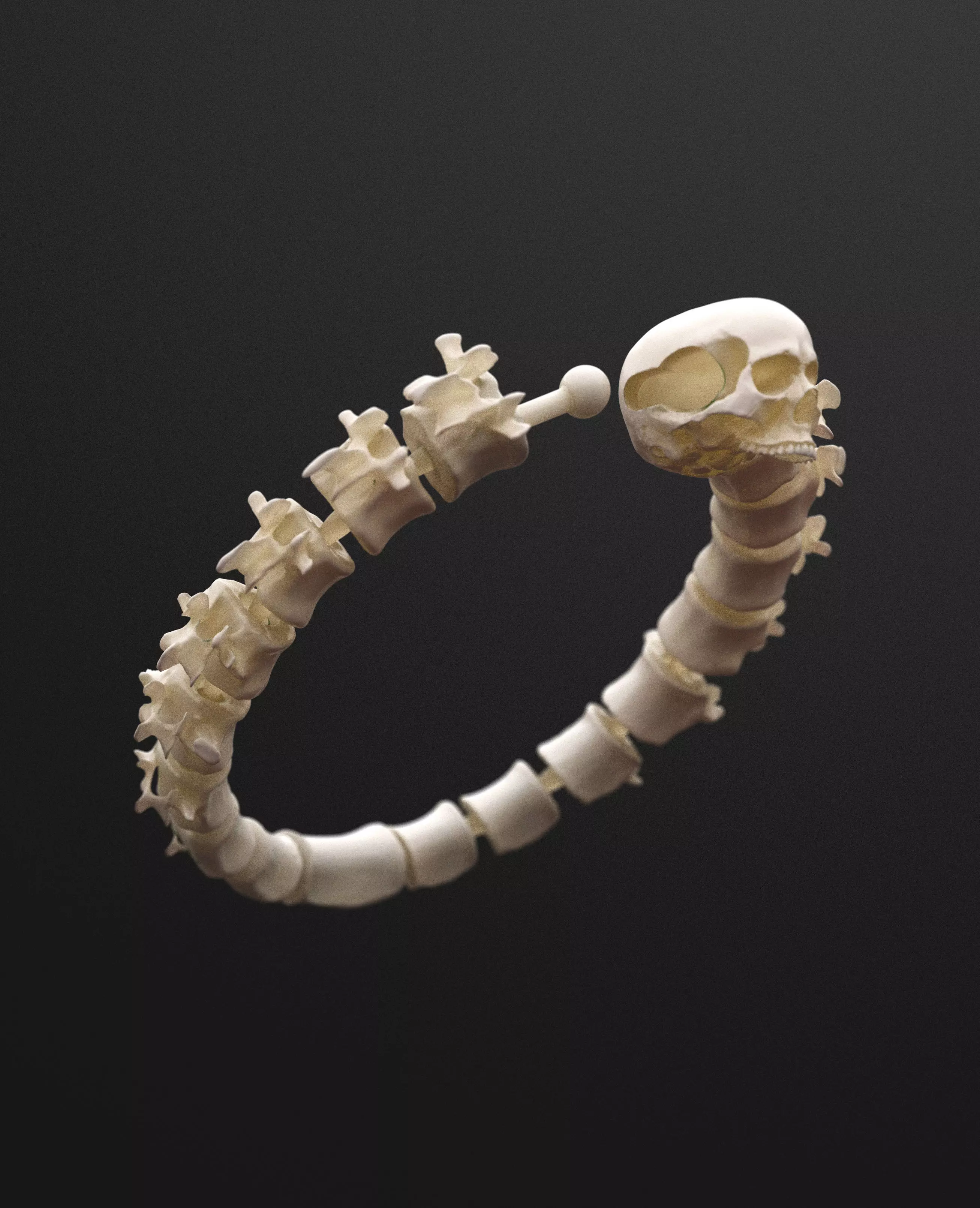 Skull - Bracelet 3D print model_0
