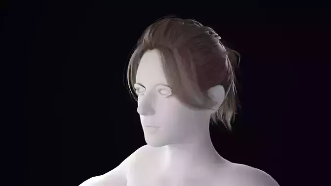 Realistic Female Hair
