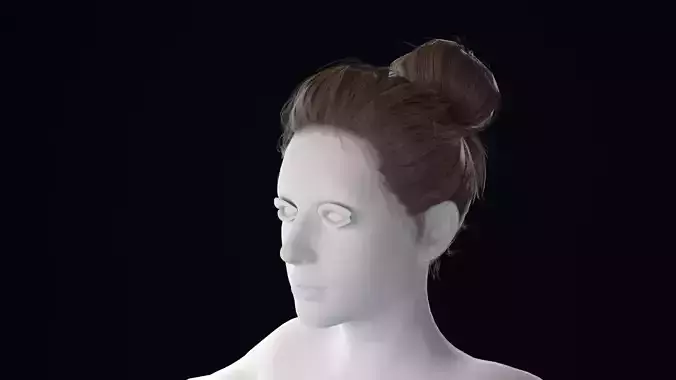 Realistic Female Hair