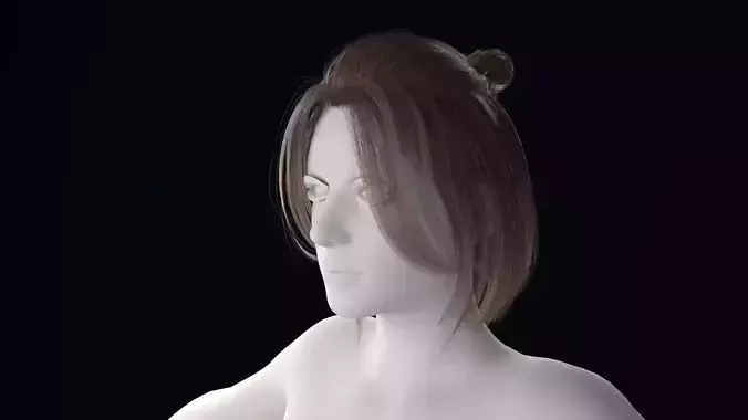 Realistic Female Hair