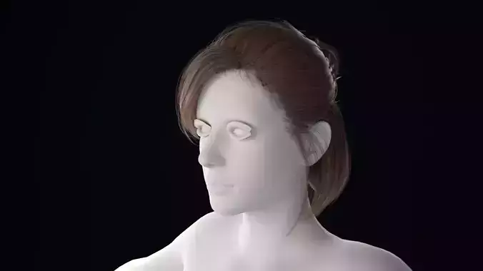 Realistic Female Hair