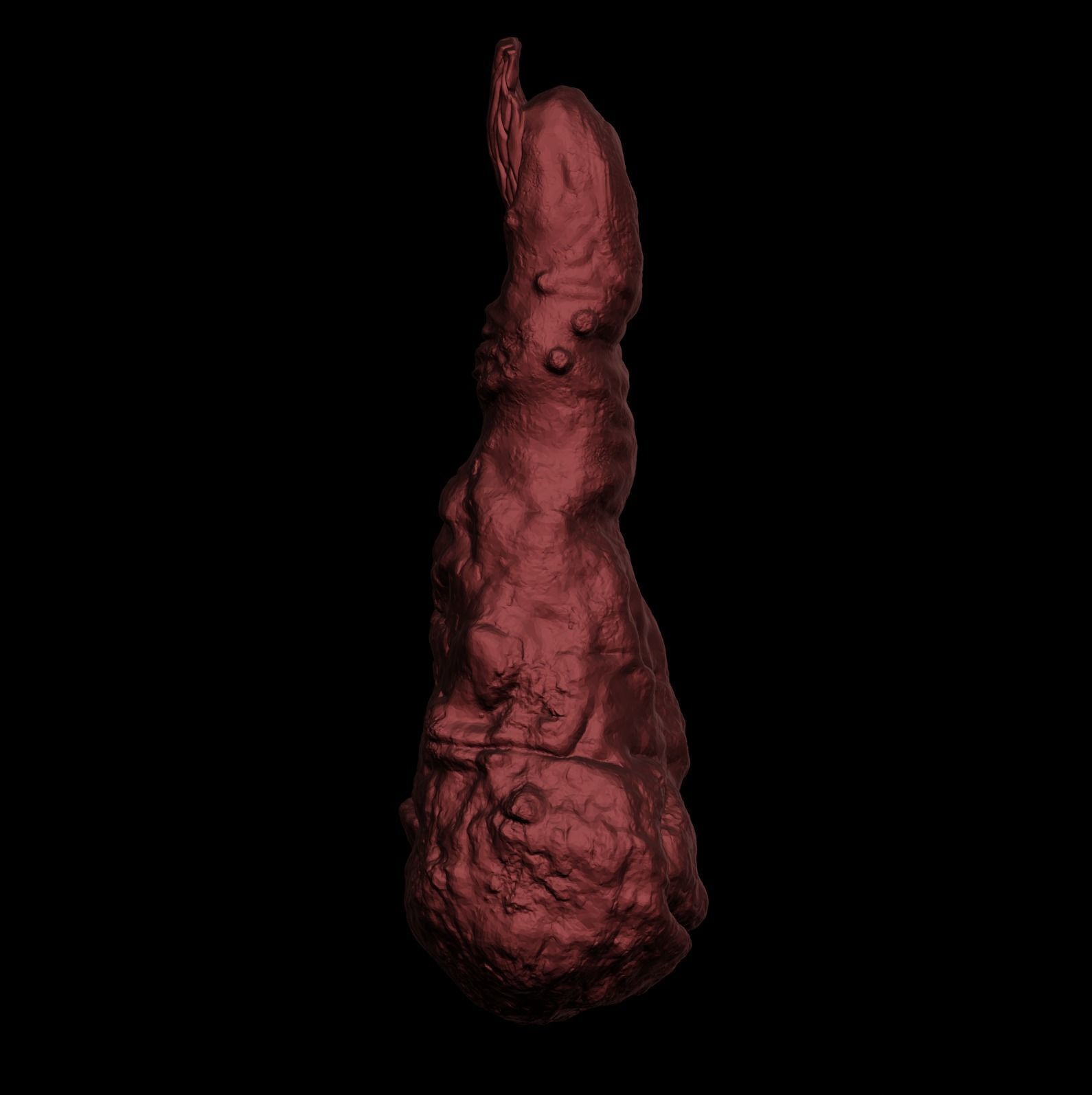 SUKUNA FINGER BUNDLE 1-4- JUJUTSU KAISEN MANGA - STL 3D print model_9