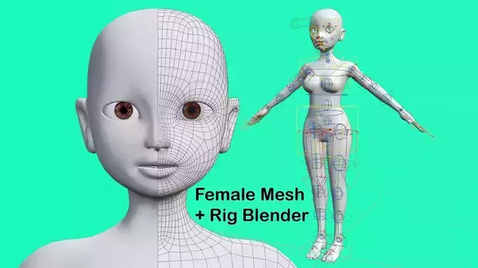 Base Meshes Female Character Low Polygon 3D Model Low-poly 3D model