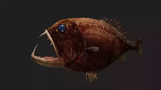 Fangtooth Low-poly 3D model