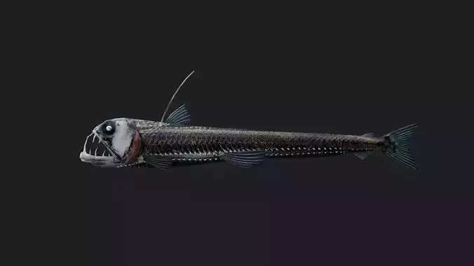 Viperfish