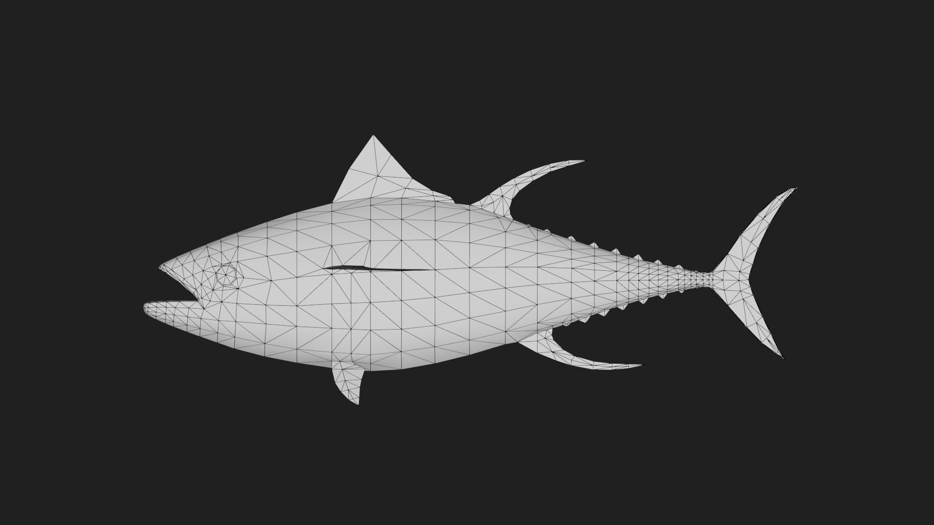 Yellowfintuna Low-poly 3D model_1