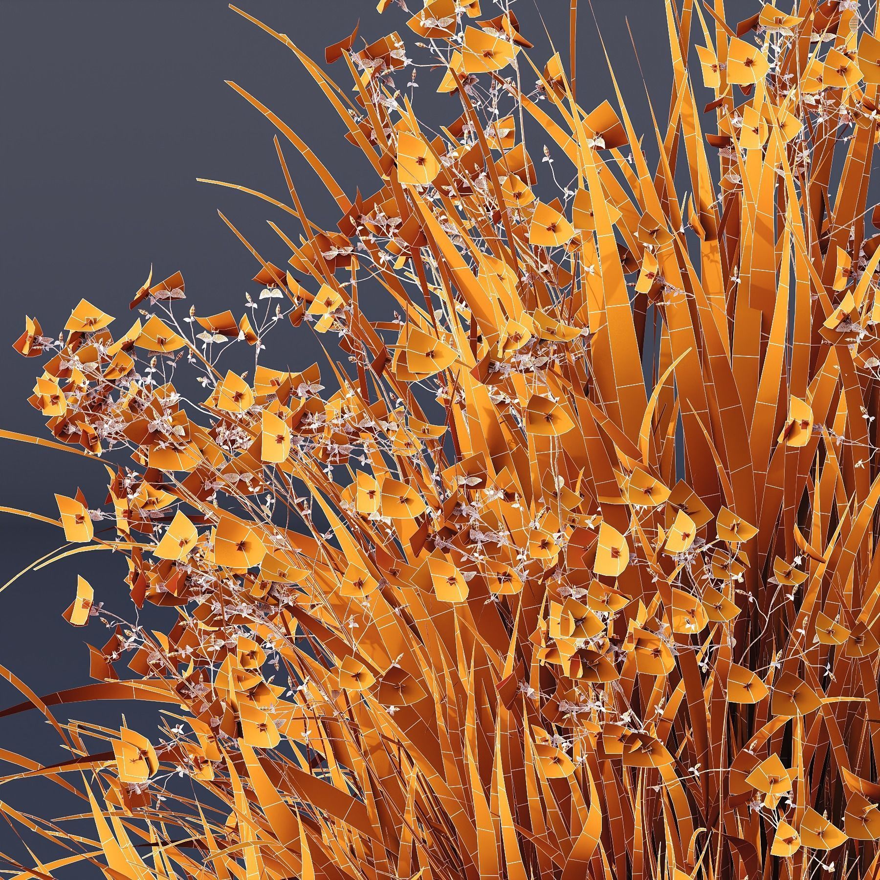 Plants Libertia Grandiflora Grass 3D model_5