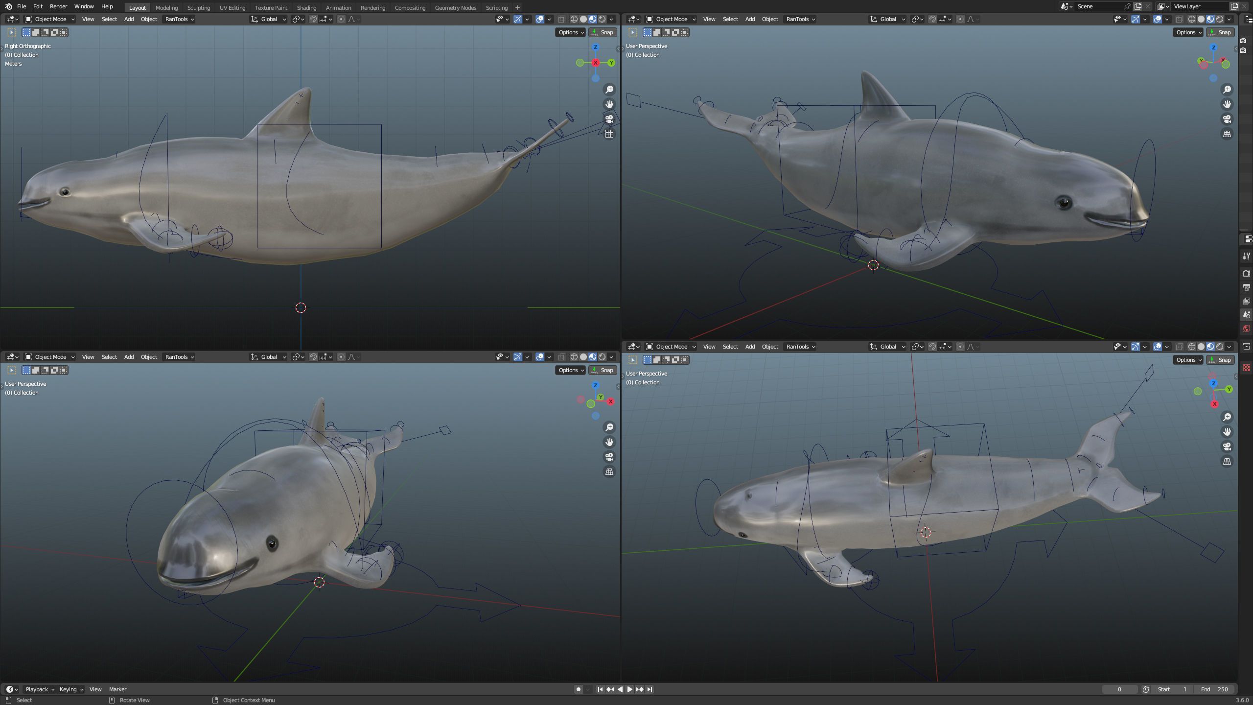 Vaquita Low-poly 3D model_4