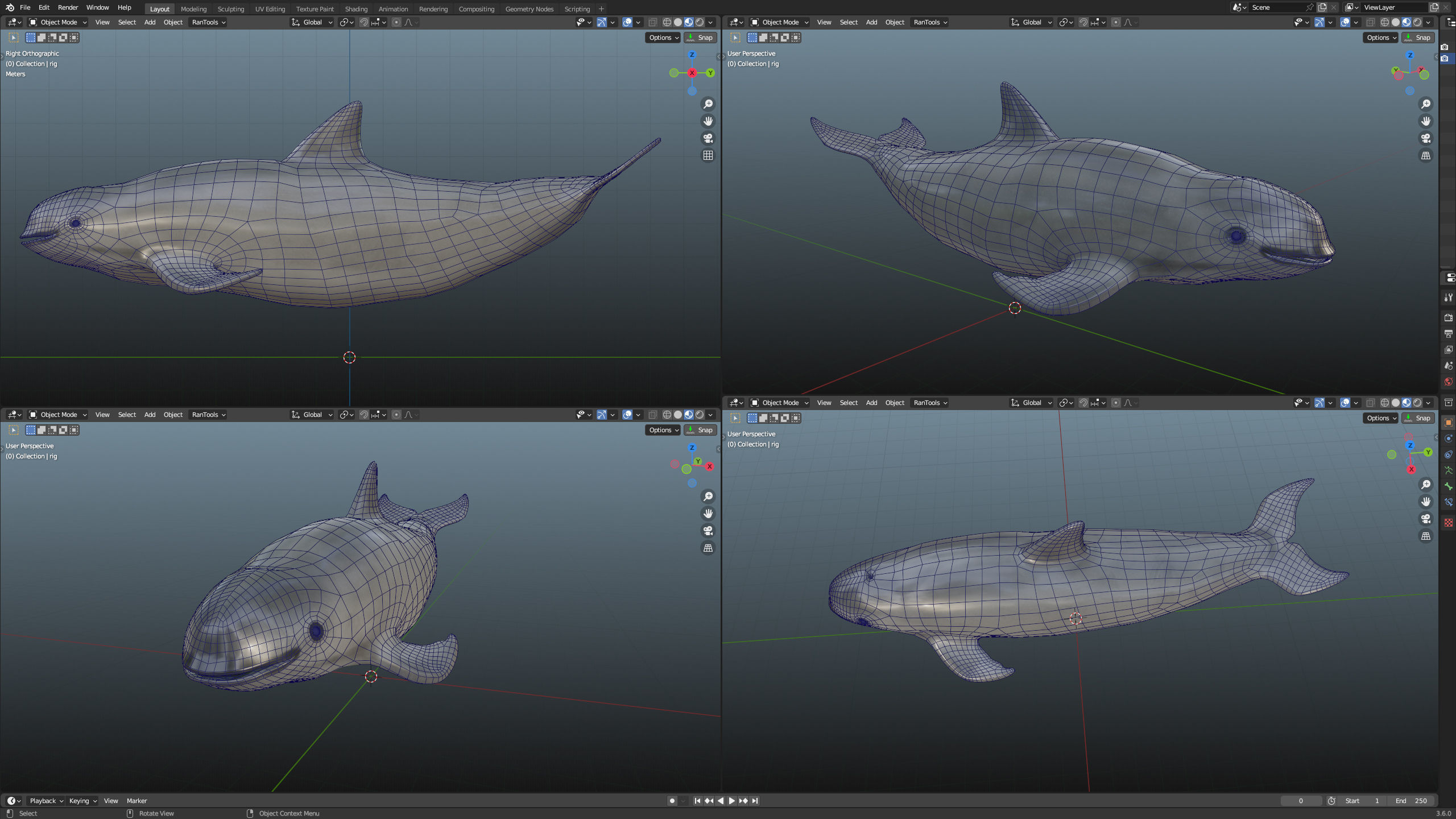 Vaquita Low-poly 3D model_2