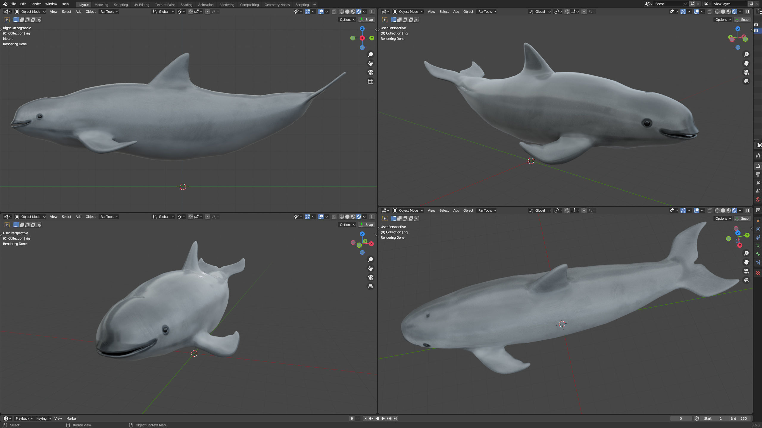 Vaquita Low-poly 3D model_1