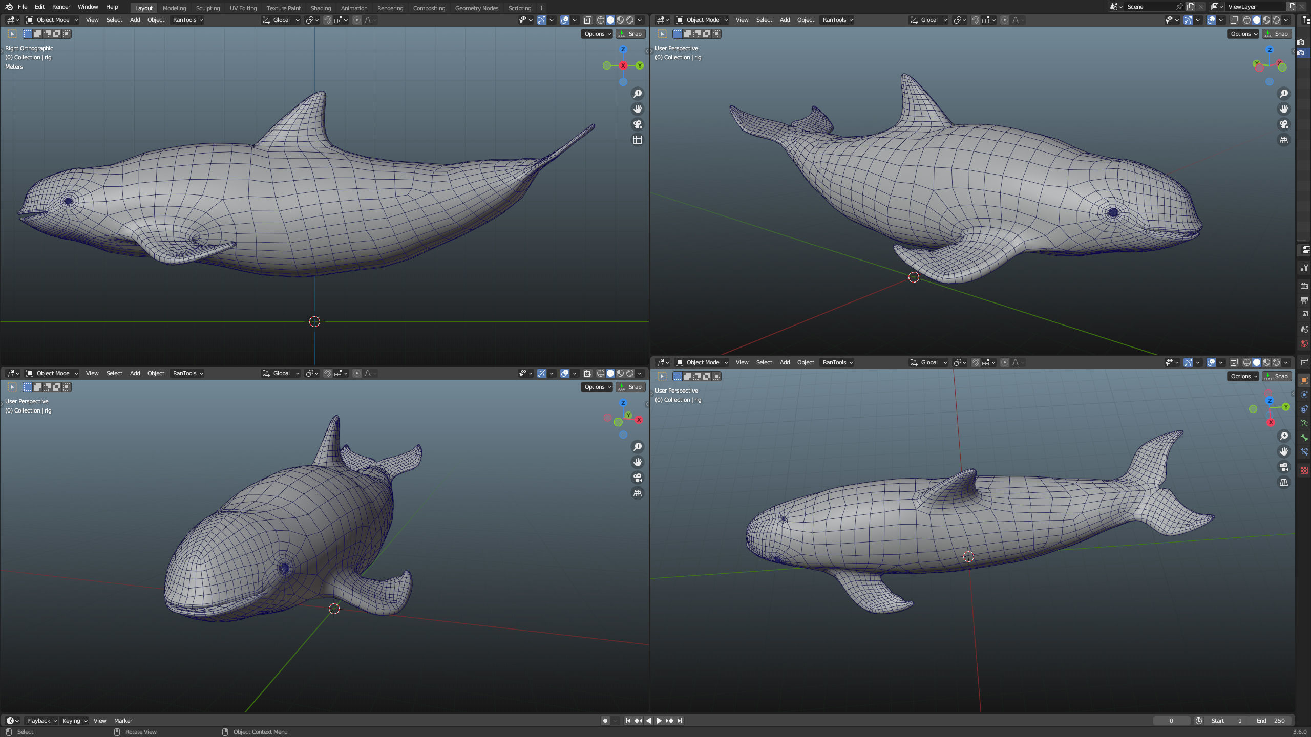 Vaquita Low-poly 3D model_3