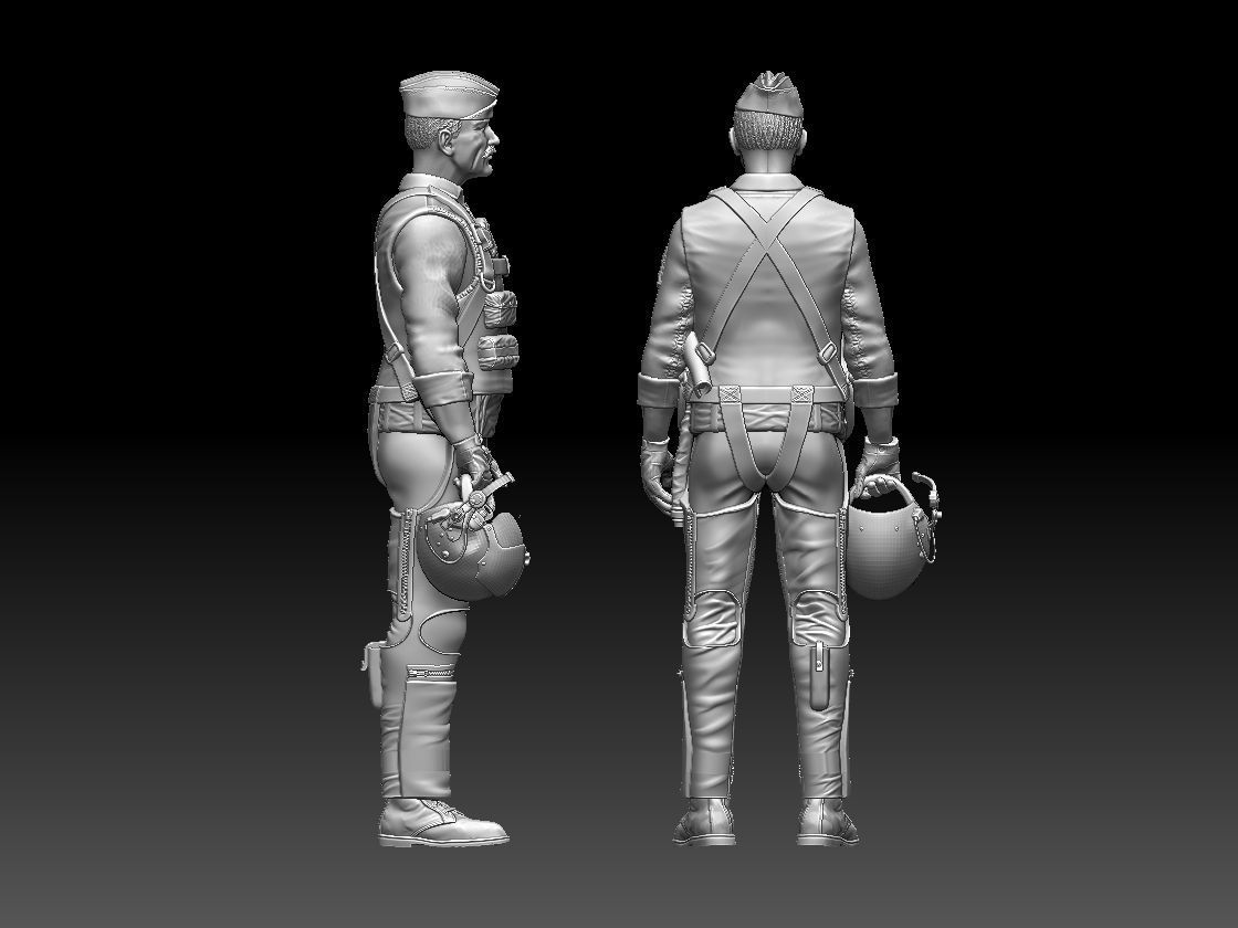 Robin Olds general officer in the United States Air Force 3D print model_8