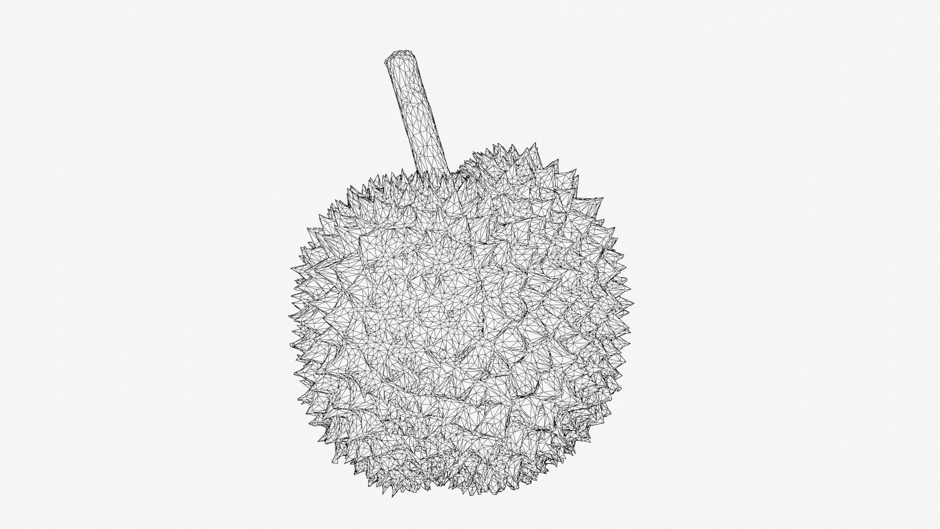 DURIAN Low-poly 3D model_9